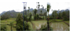 Srikakulam-Fields.jpg
