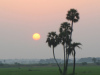 awesome_sun_setting_picture_from_amdalavalasa_palakonda_road_.jpg